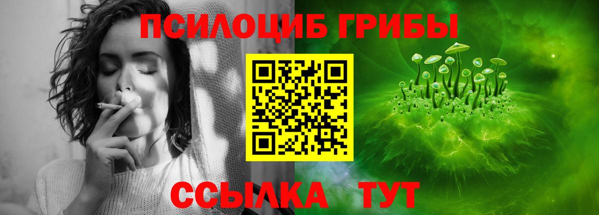 магазин    Вход с VPN  Тверь  Псилоцибиновые грибы Psilocybine cubensis 